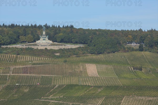 View of UNESCO Niederwald Monument with vineyards, landscape, wine-growing area, Niederwald