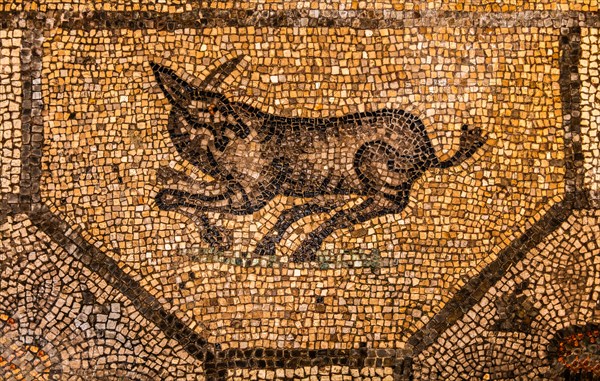 Mosaics, crypt of the excavations from the 4th century, Crypta degli Scavi, Basilica of Aquileia