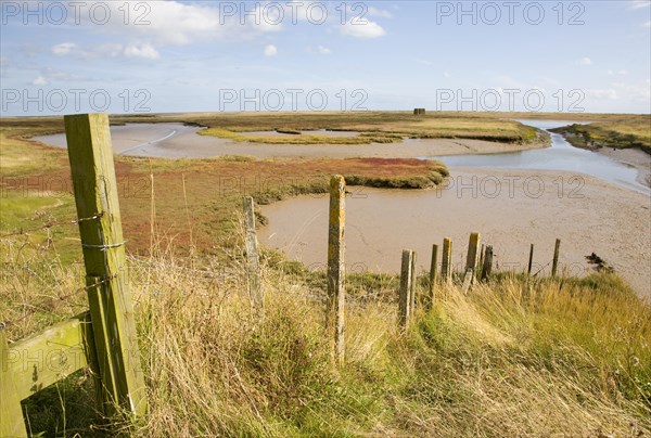 Mudflats and saltings vegetation on the tidal River Ore behind Orford ness shingle spit, Suffolk,
