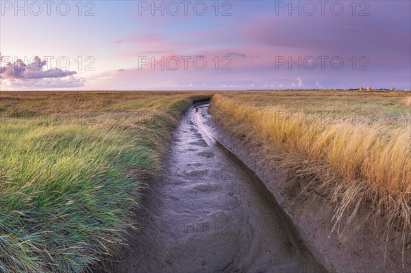 Moat in the polder area on the North Sea, landscape format, evening light, sunset, Dorum,