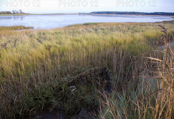 Walberswick National Nature reserve wetland environment marshes Blythburgh, Suffolk, England,