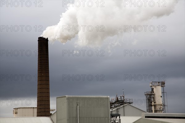Steam rising from chimneys as sugar beet is processed at the British Sugar factory, Bury St