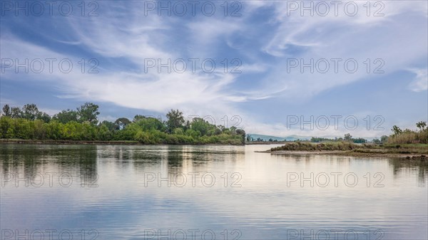 Isola della Cona, nature reserve, island of Grado, north coast of the Adriatic Sea, Friuli, Italy,