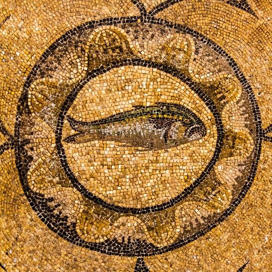 Basilica of Aquileia from the 11th century, largest floor mosaic of the Western Roman Empire,