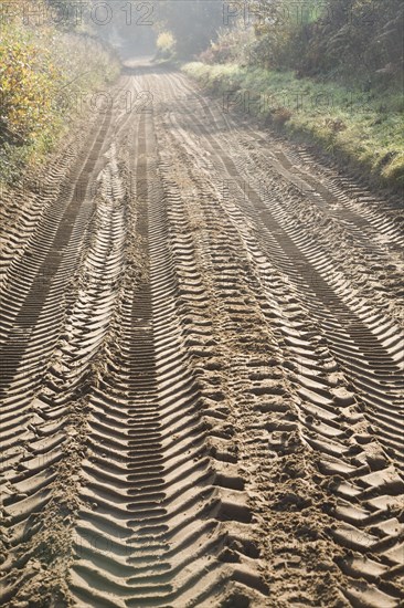 Tyre mark indentations in sandy soil of unsurfaced rural road crossing the Suffolk Sandlings at