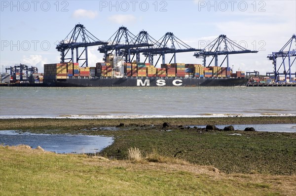 Cranes and container ships at Trimley Docks part of the Port of Felixstowe, Britain's busiest