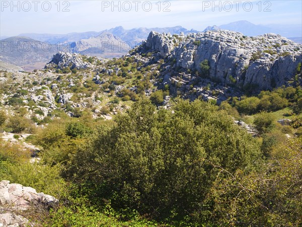 Dramatic limestone scenery of rocks shaped by erosion and weathering at El Torcal de Antequera