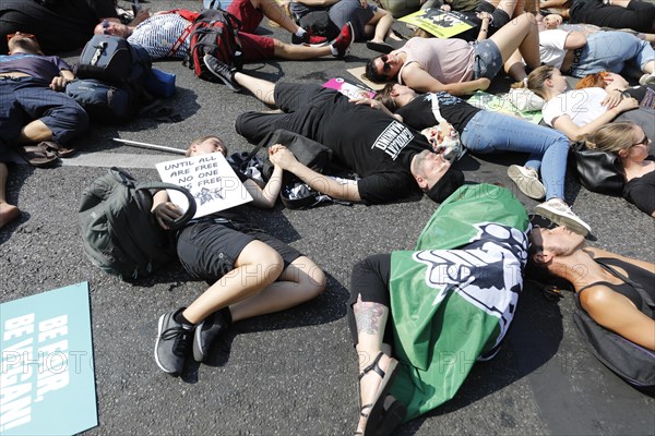 Mass die In, at the Official Animal Rights March demo at Rosenthaler Platz in Berlin. The Animal