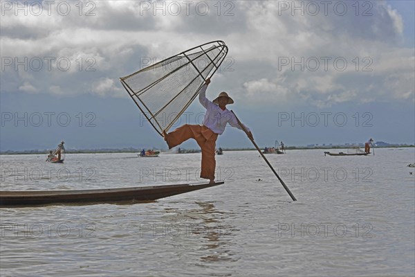 Intha fisherman, local man fishing with traditional conical fishing net, Inle Lake, Burma, Myanmar,
