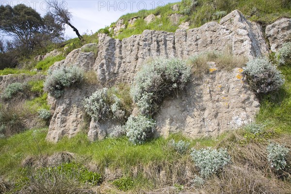 Pulhamite a type of man-made rock in the gardens at Bawdsey Manor, Suffolk, England, United