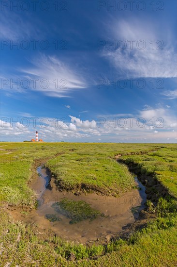 Saltmarsh and lighthouse Westerheversand at Westerhever in summer, Peninsula of Eiderstedt, Wadden