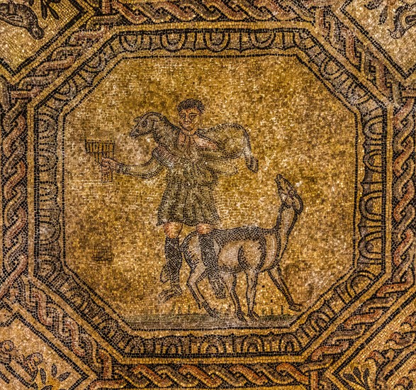 Basilica of Aquileia from the 11th century, largest floor mosaic of the Western Roman Empire,