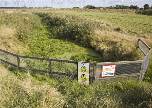 Eutrophication pond weed clogging drainage ditch, Hollesley marshes, Suffolk, England, United