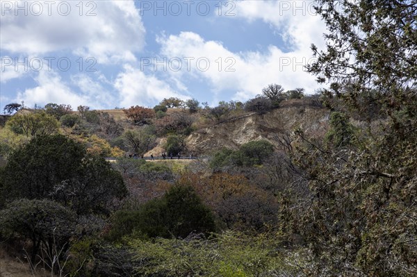 San Pablo Huitzo, Oaxaca, Mexico, A line of migrants walk north along a rural highway in the Etla