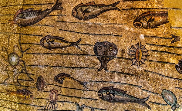 Basilica of Aquileia from the 11th century, largest floor mosaic of the Western Roman Empire,