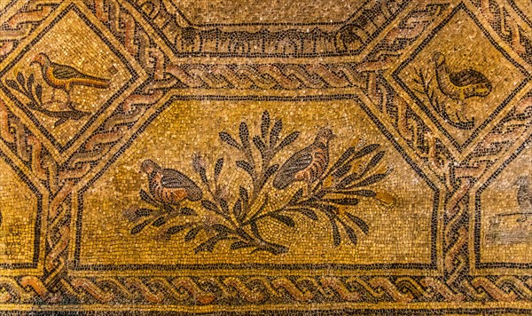 Basilica of Aquileia from the 11th century, largest floor mosaic of the Western Roman Empire,