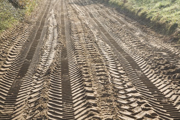 Tyre mark indentations in sandy soil of unsurfaced rural road crossing the Suffolk Sandlings at