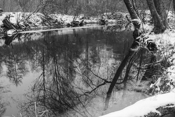 Sapina River and the riparian forest, the swamp, partially reflecting in the slowly flowing water,