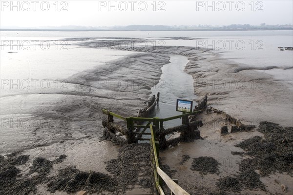 Drainage sluice channel on the River Deben at low tide, Sutton, Suffolk, England, United Kingdom,