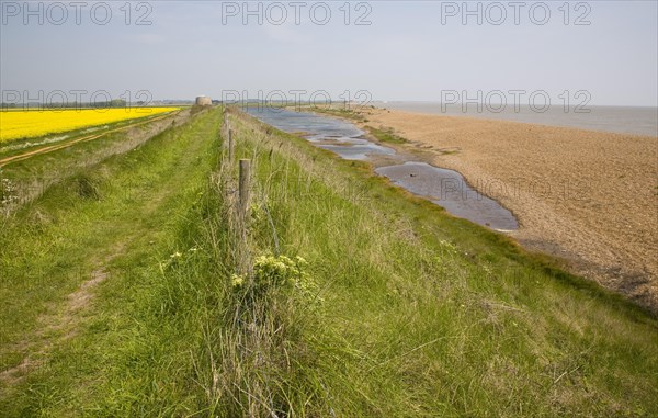 Shingle beach bar and lagoon formed by north to south longshore drift at Bawdsey, Suffolk, England,