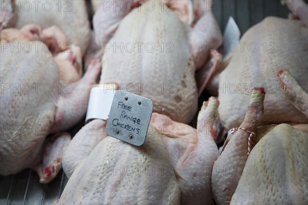 Free range chickens high quality food on display at Suffolk Food Hall, Wherstead, Suffolk, England,