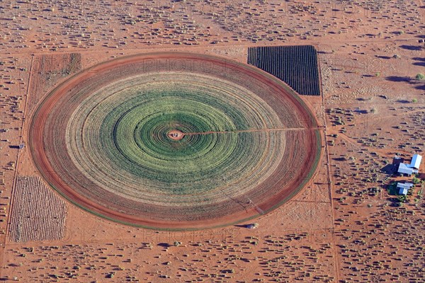 Aerial photo, circular field in the Kalahari desert, agriculture, irrigation, groundwater, alfalfa,