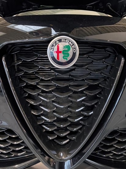 Radiator grille Scudetto with coat of arms emblem Logo of Alfa Romeo with parts of coat of arms of