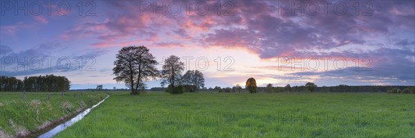 Sunset over a meadow landscape with ditch and trees, panorama, landscape photography, nature