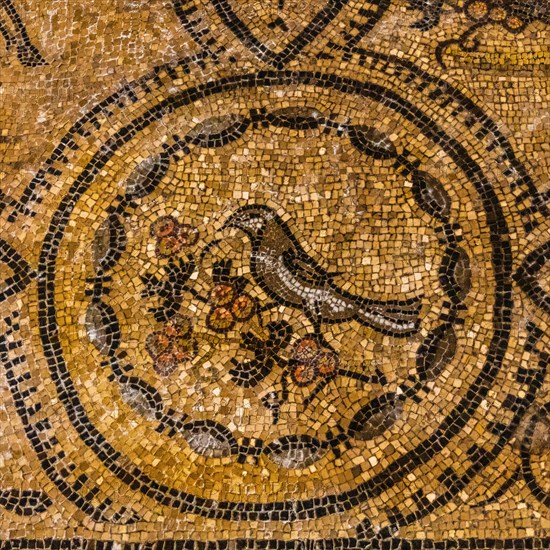 Basilica of Aquileia from the 11th century, largest floor mosaic of the Western Roman Empire,