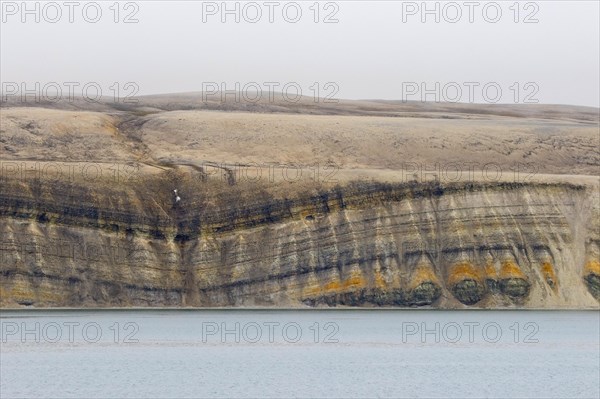 Sea cliff showing limestone and sandstone strata from the Permian period along the Hinlopen Strait,
