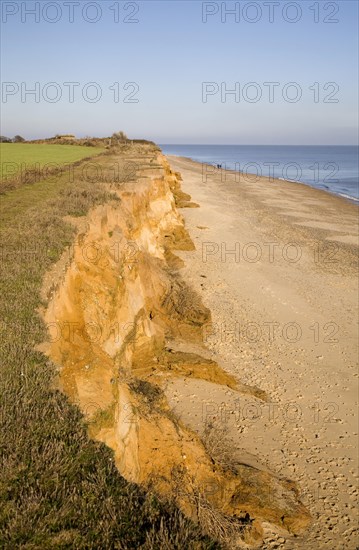 Rapid coastal erosion of soft cliffs between Benacre and Kessingland on the Suffolk coast England.
