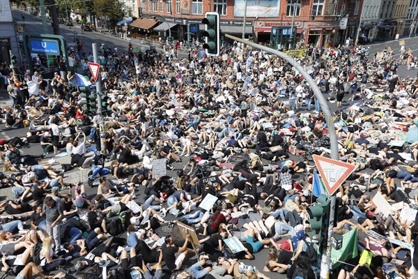 Mass die In, at the Official Animal Rights March demo at Rosenthaler Platz in Berlin. The Animal