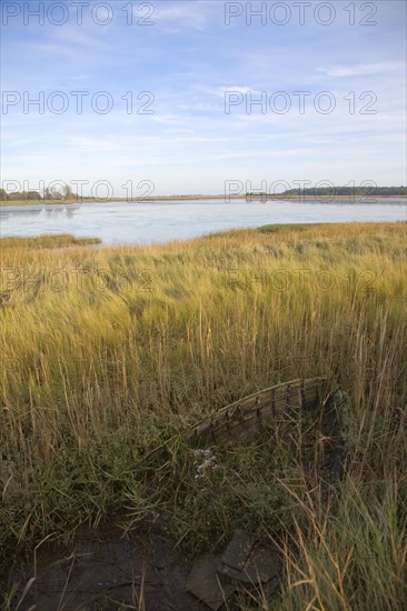 Walberswick National Nature reserve wetland environment marshes Blythburgh, Suffolk, England,