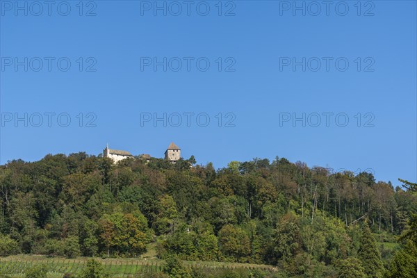 Stein am Rhein, Hohenklingen Castle, mountain, vineyard slope, blue sky, Canton Schaffhausen,