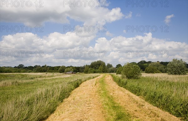 Riverside path Castle mill and marshes in the River Waveney flood plain, near Barnby, Suffolk,