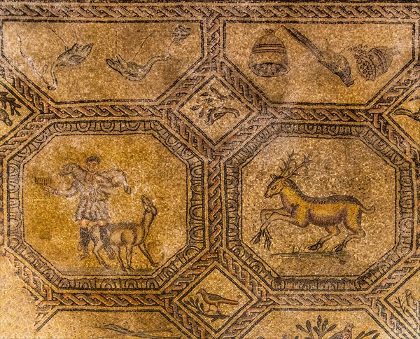 Basilica of Aquileia from the 11th century, largest floor mosaic of the Western Roman Empire,