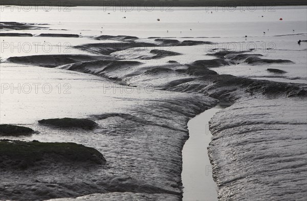 Winter overcast landscape of the River Deben at low tide in late afternoon, Ramsholt, Suffolk,