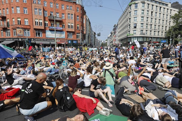 Mass die In, at the Official Animal Rights March demo at Rosenthaler Platz in Berlin. The Animal
