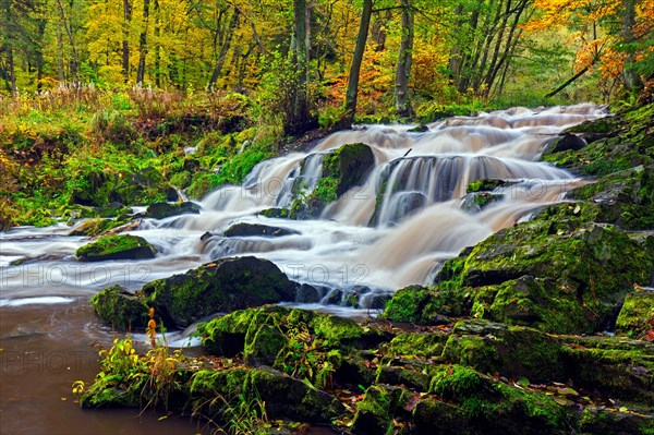 Waterfall near Alexisbad on the Selke river in nature reserve Obere Selketal in autumn, Harz