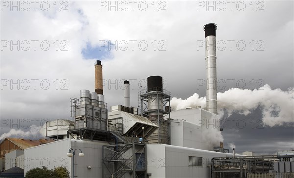 Steam rising from chimneys as sugar beet is processed at the British Sugar factory, Bury St