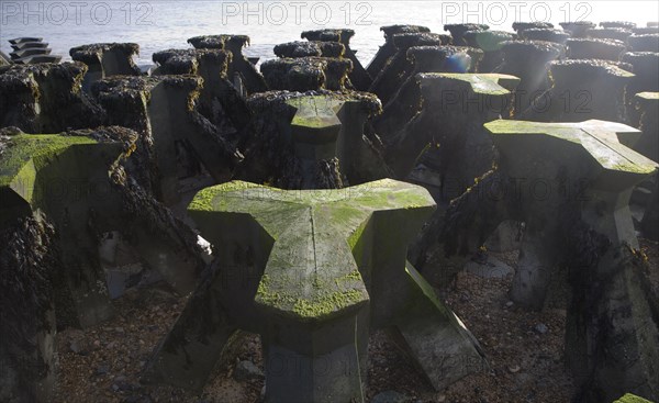 Coastal defences on the North Sea coast in East Anglia at Cobbold's Point, Felixstowe, Suffolk,