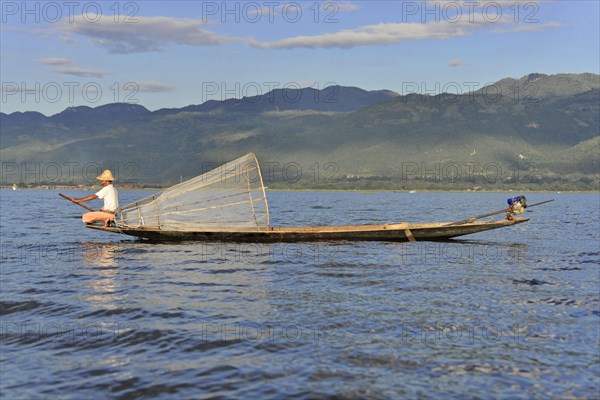 Intha fisherman, local man fishing with traditional conical fishing net, Inle Lake, Burma, Myanmar,