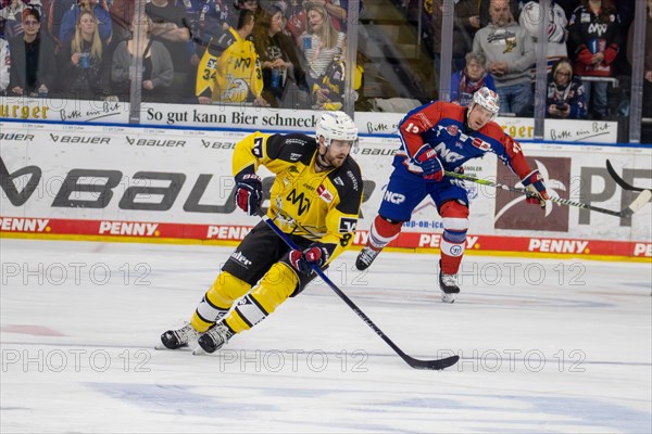 23.02.2024, DEL, German Ice Hockey League, 48th matchday) : Adler Mannheim (yellow jerseys) against