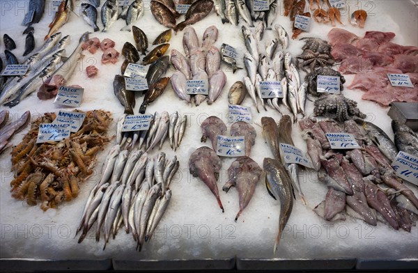Display of fresh fish and seafood on ice, fishmonger, food, Kapani Market, Vlali, Thessaloniki,