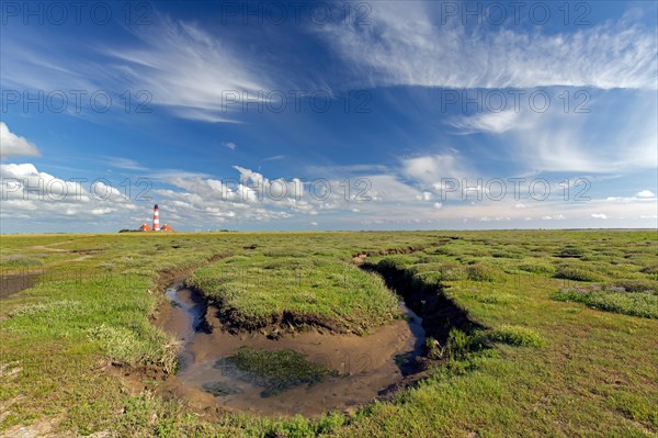Saltmarsh and lighthouse Westerheversand at Westerhever in summer, Peninsula of Eiderstedt, Wadden