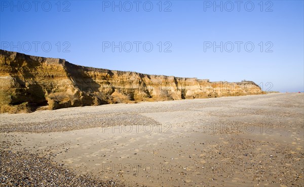 Rapid coastal erosion of soft cliffs between Benacre and Kessingland on the Suffolk coast England.