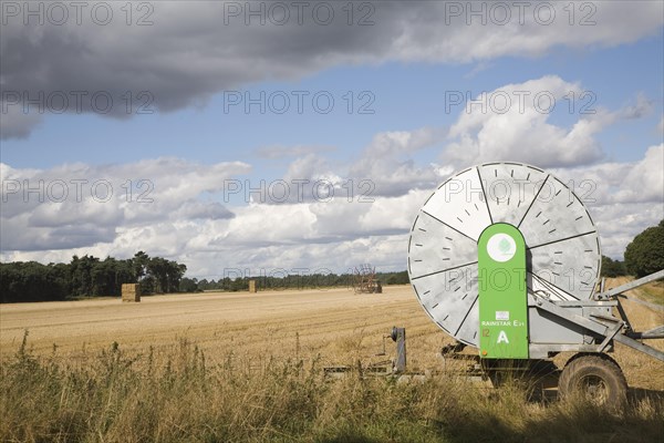 Cumulus clouds in summer blue sky over rural Suffolk Sandlings landscape, Sutton, Suffolk, England,