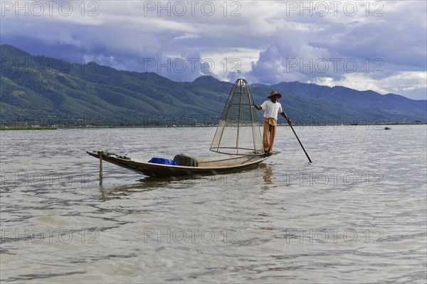 Intha fisherman, local man fishing with traditional conical fishing net, Inle Lake, Burma, Myanmar,