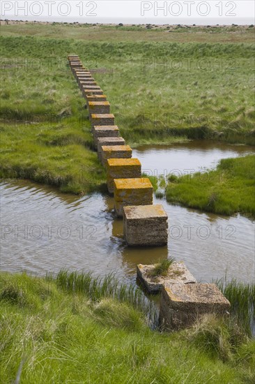 Concrete block tank traps from the second world war cross coastal marshes at Alderton, Suffolk,