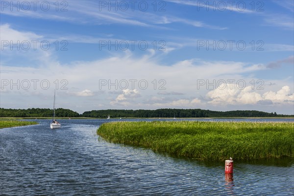 Natural landscape, sailboat, nature, puristic, reed, seaweed, water, lake, natural, travel,